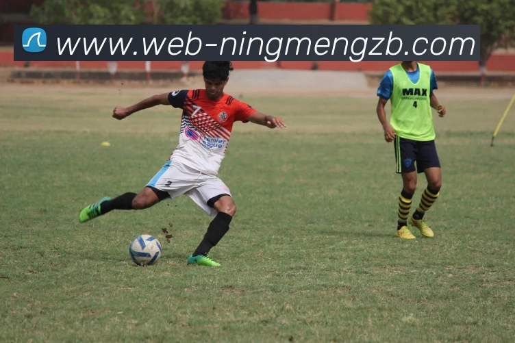 柠檬直播平台生态图